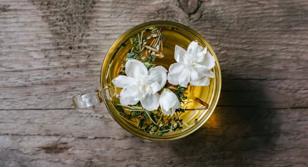 Tasse de tisane fumante entourée de plantes médicinales séchées sur table en bois