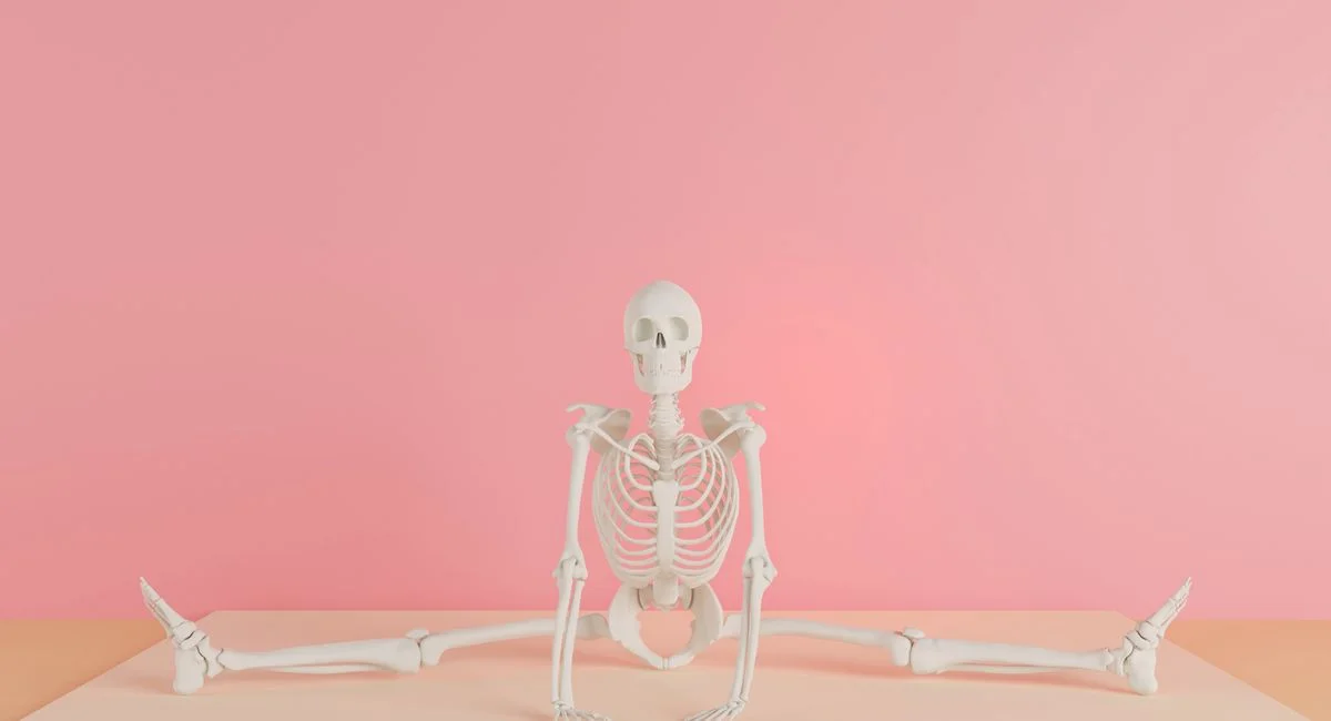 A human skeleton model does a split against a pink backdrop, showcasing flexibility.